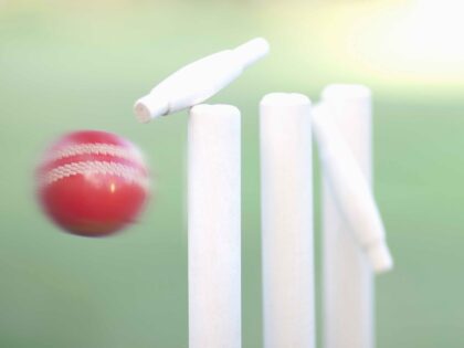 Cricket wicket (Getty)