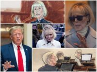 15 Facts About E. Jean Carroll's Case the Media Don't Want You to Know