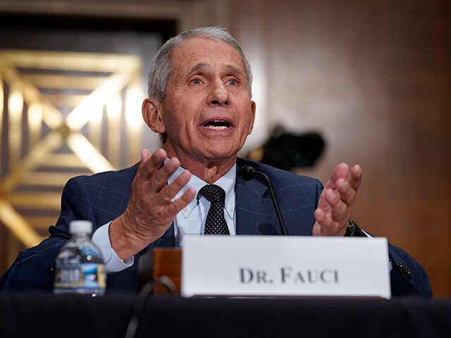 Anthony Fauci: Effectiveness of Coronavirus Vaccines a ‘Complicated Issue’