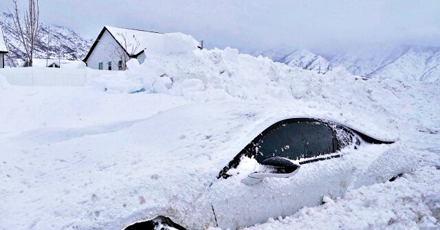 Poll: 65% Unlikely to Buy Electric Cars as They Strand Drivers in Winter Freeze