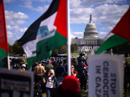Protesters stage a demonstration in support of a cease fire against the Palestinians in Ga