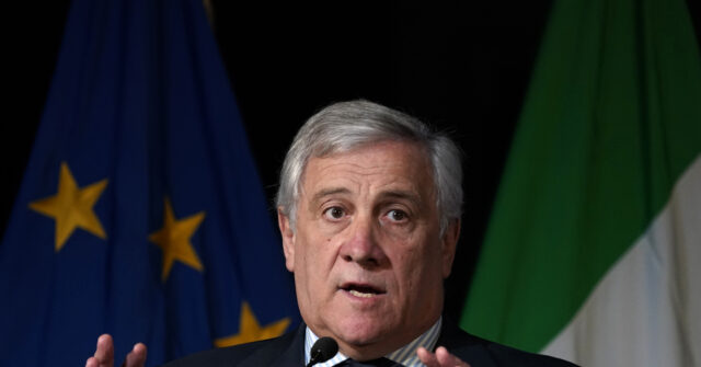 Italy Calls for Creation of EU Army, Single European Head of State