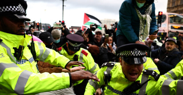 NextImg:Pro-Palestinian and BLM Supporters Clash with Police in London