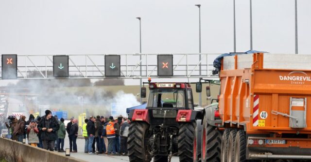 Woman Killed, Family Injured at French Farmer Protest by Car