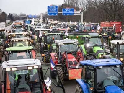 STRASBOURG, FRANCE - JANUARY 30: Farmers take part in a protest called by local branches o