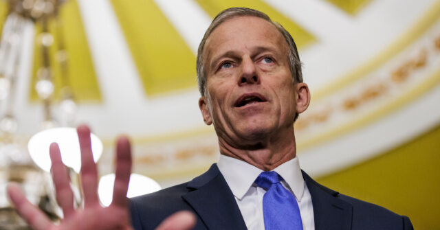 Republican John Thune Complains Trump 'Not Helpful' for Migration Talks