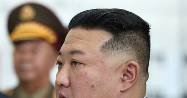 South Korean President Warns 'Irrational' Kim Jong-un Will Interfere in Elections