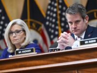 Liz Cheney, Adam Kinzinger Back Nikki Haley, Donate to Campaign