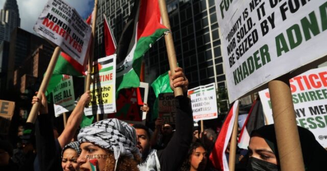 Former NHL Player Blasts Pro-Palestinian Protesters for Demonstrating in Front of Cancer Hospital