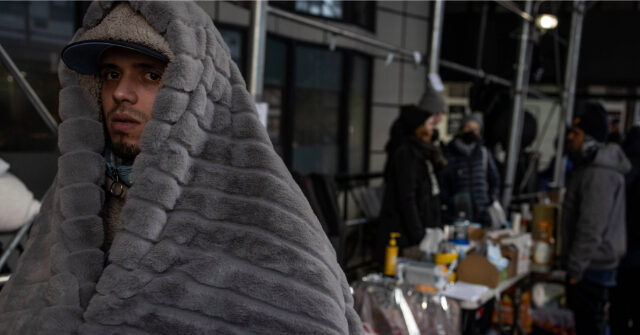 NYC Council Member Trolls Wealthy Brooklyn Liberals on Migrant Shelters