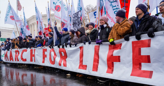 'C'mon Joe, Even You Love Kids': See Best Signs at 2024 March for Life