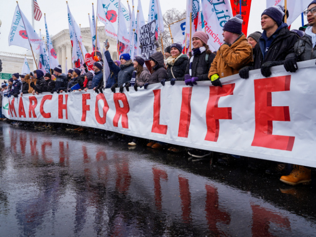 'C'mon Joe, Even You Love Kids': See Best Signs at 2024 March for Life - Vimarsana News