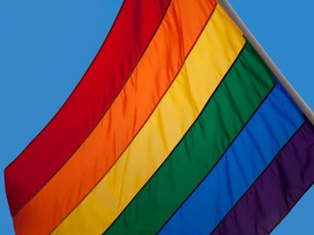 Rainbow flag at the Pride London gay and lesbian parade through central London. Pride London (founded in 2004) aims to promote equality and diversity through all of its campaigns. The Pride London festival uses theatre, music, debate, art and entertainment to raise awareness of discrimination and the issues and difficulties …