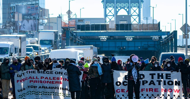 Watch: More Than 300 Pro-Palestinian Protesters Arrested for Blocking NYC Bridges, Holland Tunnel