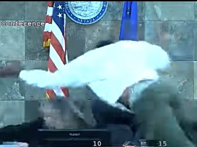 In this image from video provided by the Clark County District Court, a defendant identifi