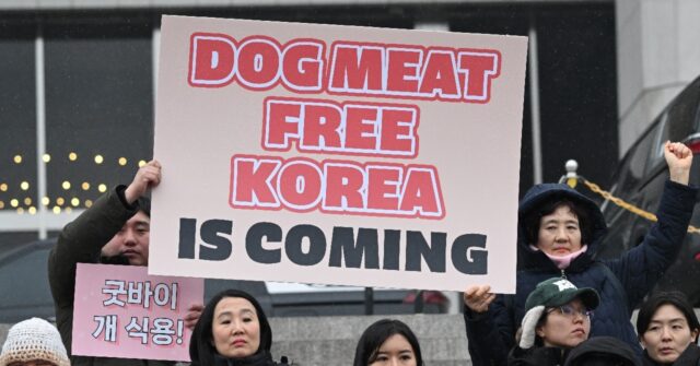 South Korea Parliament Passes Bill Banning Dog Meat Trade - Breitbart