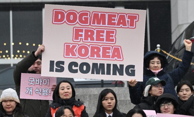 Animal rights activists hold placards during a rally welcoming a bill banning dog meat tra