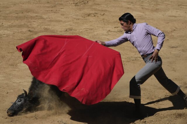 APTOPIX Mexico Bullfighting Workshop The Associated Press