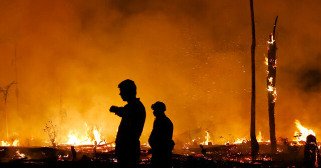 Brazil Experiencing Record-Setting Amazon Fires Under Socialist Lula