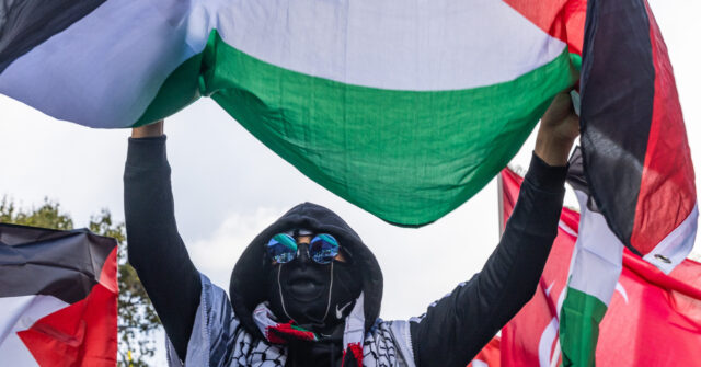 WATCH: Pro-Palestinian Protesters Shut Down London's Tower Bridge