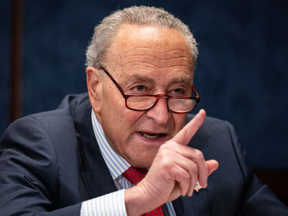 Senate Majority Leader Chuck Schumer (D-NY) speaks during a briefing about the state of ab