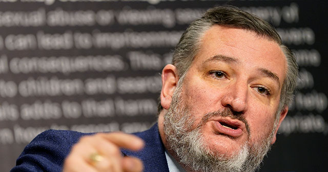 Sen. Ted Cruz Calls Senate Border Bill a 'Stinking Pile of Crap'
