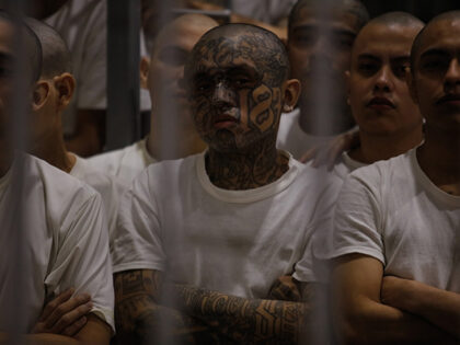 Inmates are seen in cells at CECOT in Tecoluca on February 6, 2024 in San Vicente, El Salv