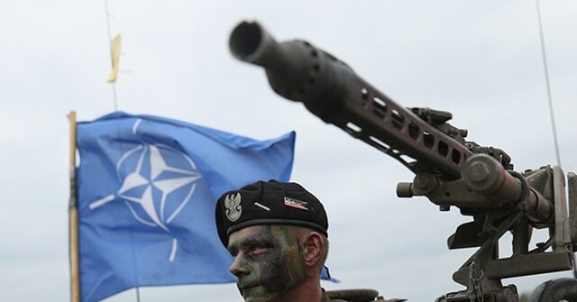 Eastern Europe NATO Allies Readying to Foil Russian Hybrid Attacks - Vimarsana News