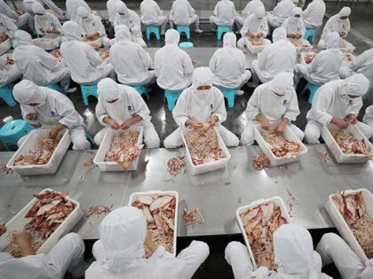 This photo taken on July 5, 2018 shows workers sorting dried seafood for export at a facto