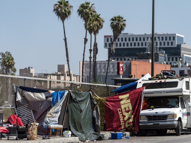 Homeless encampments block the street on an overpass of the Hollywood freeway in Los Angel
