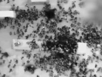 IDF Releases Footage of Stampede in Gaza in Which Dozens Died