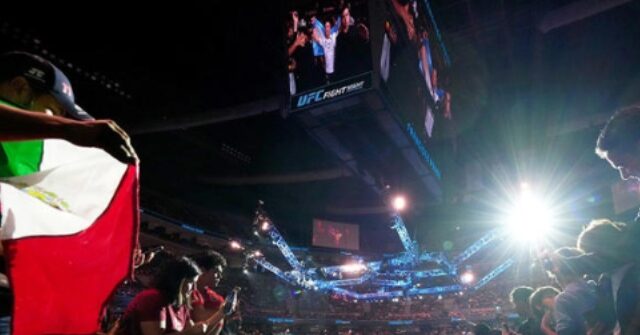 WATCH: Multiple Fans Knocked Down and Knocked Out During Massive Brawl at UFC Mexico City Event