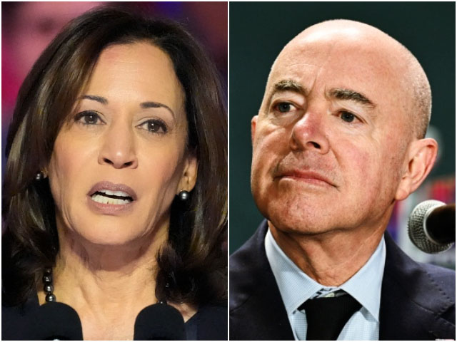 Sen. Rick Scott Urges Kamala Harris to Preside over Mayorkas' Impeachment Trial - Vimarsana News