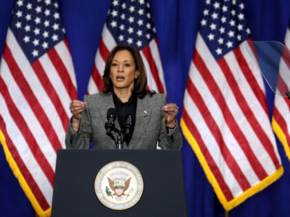 BIG BEND, WISCONSIN - JANUARY 22: Vice President Kamala Harris speaks to guests during a r