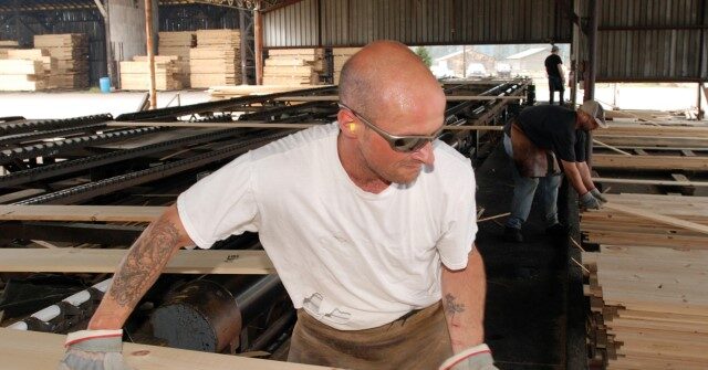 'Unfortunate': WV Hardwood Producer Shuts Down, Affecting 850 Jobs
