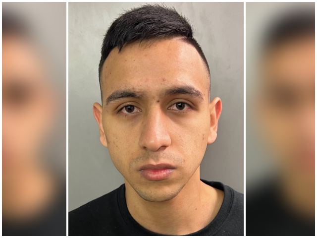 Illegal Alien Freed into U.S. by Biden's DHS Now Charged with Killing Young Mother, Toddler - Vimarsana News