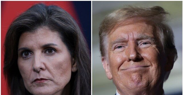 Poll: Nikki Haley Trails Donald Trump by 60+ Points Nationwide