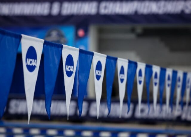 GREENSBORO, NC - MARCH 9: A general view of NCAA pool flags during the Division II Men’s