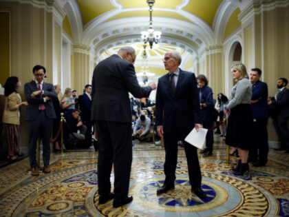 WASHINGTON, DC - NOVEMBER 07: Senate Majority Leader Charles Schumer (D-NY) talks to Sen.