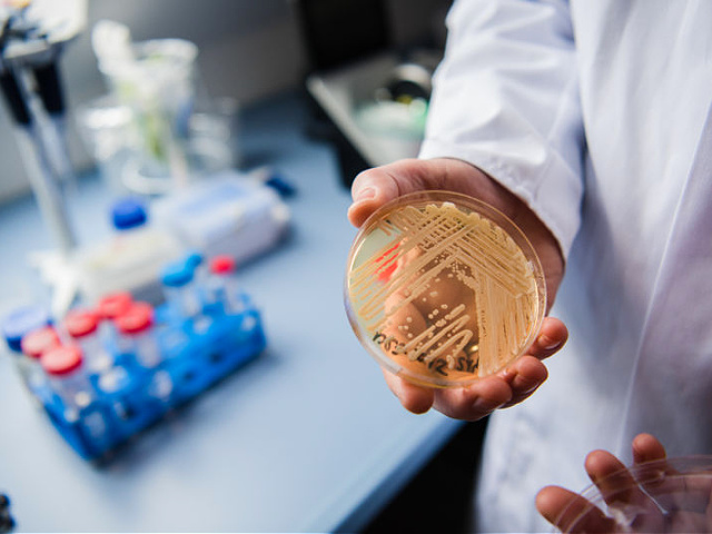 CDC Warns of Rapidly Spreading Fungal Infection with 60% Kill Rate - Vimarsana News
