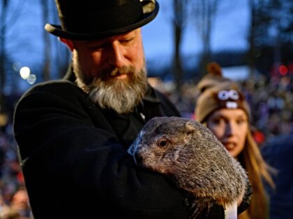 PUNXSUTAWNEY, PA - FEBRUARY 2: Groundhog handler AJ Dereume holds Punxsutawney Phil after