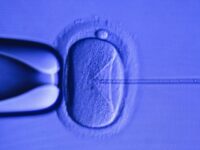 Lincoln Project’s Setmayer: Alabama Supreme Court IVF Ruling ‘Kryptonite Issue for Repu