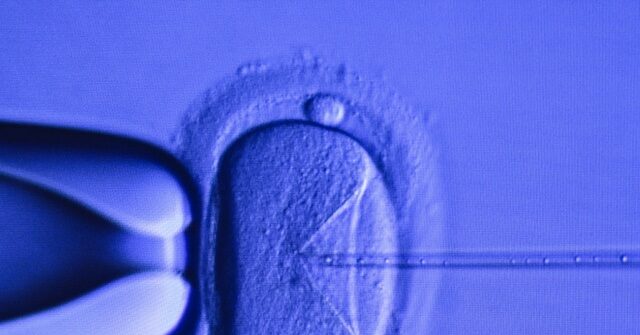 Lincoln Project's Setmayer: Alabama Supreme Court IVF Ruling 'Kryptonite Issue for Republicans'