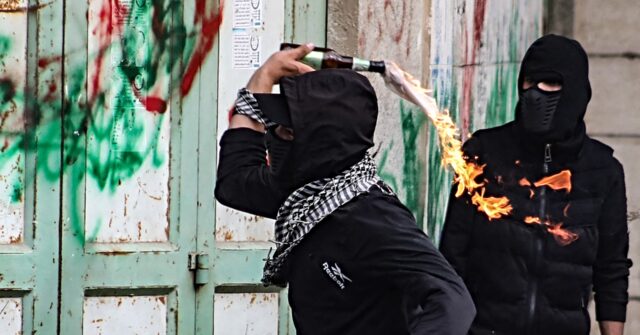 Palestinian Activist Blasted for Whining that Hijacking Planes Unacceptable