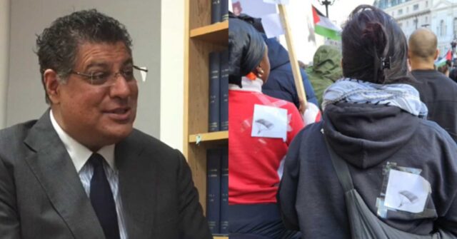 Judge Who Didn't Punish Paraglider Protesters 'Liked' Israeli Terrorist Post