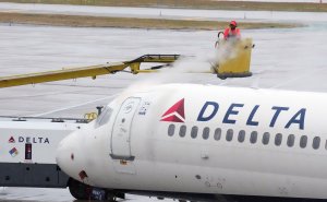 Delta flight rerouted after maggots fall on passenger