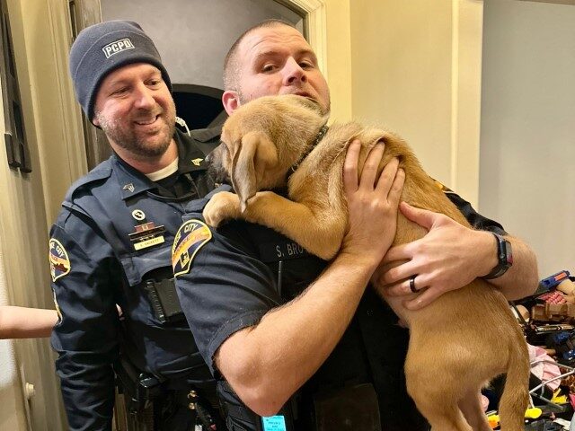 Abandoned puppy joins Utah police