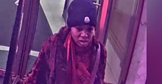 NYC Woman Nabbed After Attack on Subway Cellist Is Released