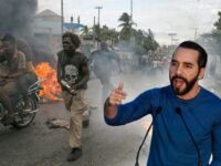 El Salvador’s Nayib Bukele on Haiti Chaos: ‘We Can Fix It’