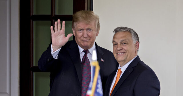 Orbán: Trump Won't Give a 'Penny' for Ukraine War, Will Bring Peace